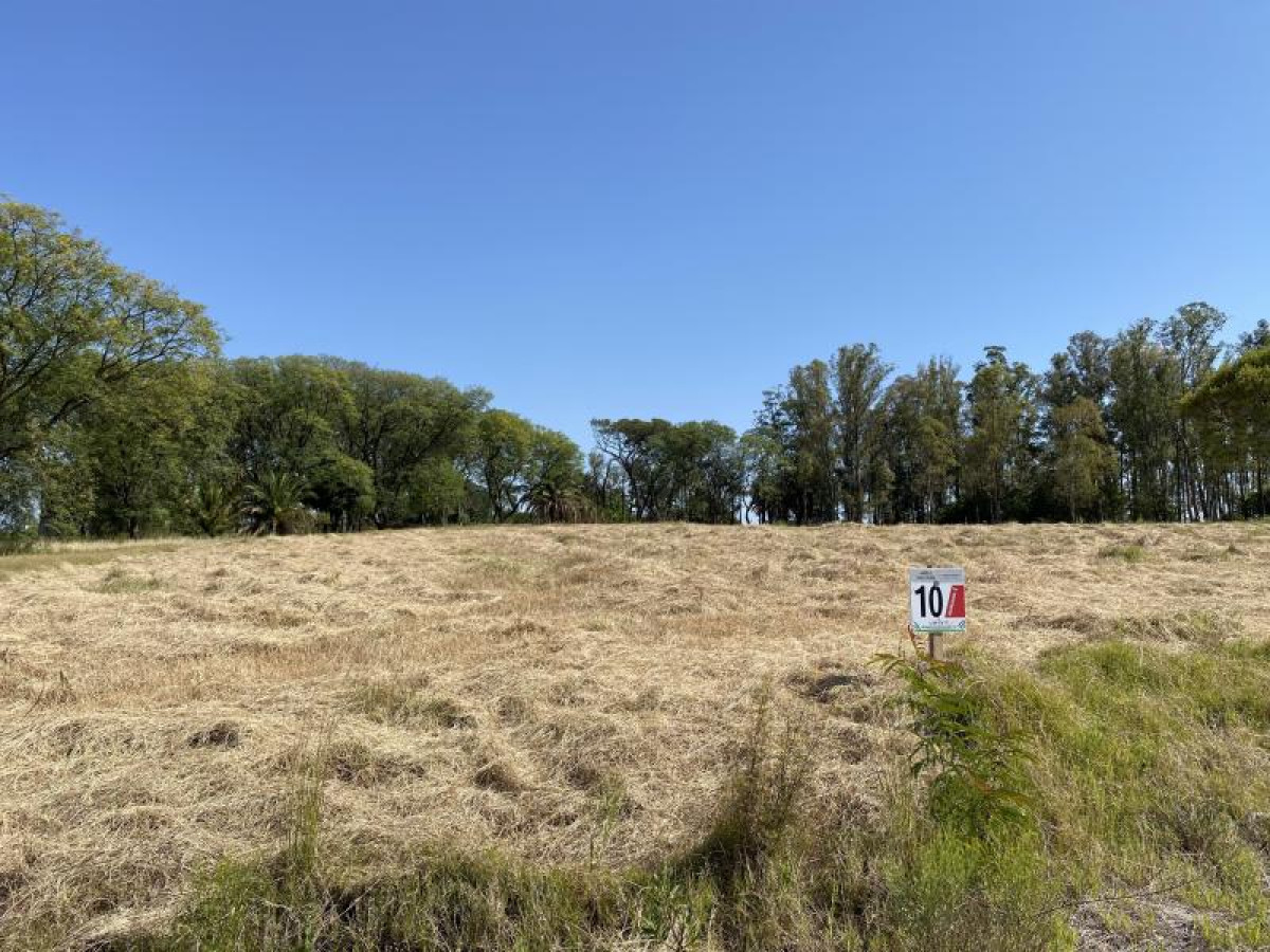 Terreno N   10 en Urbanización Parque Jousten.