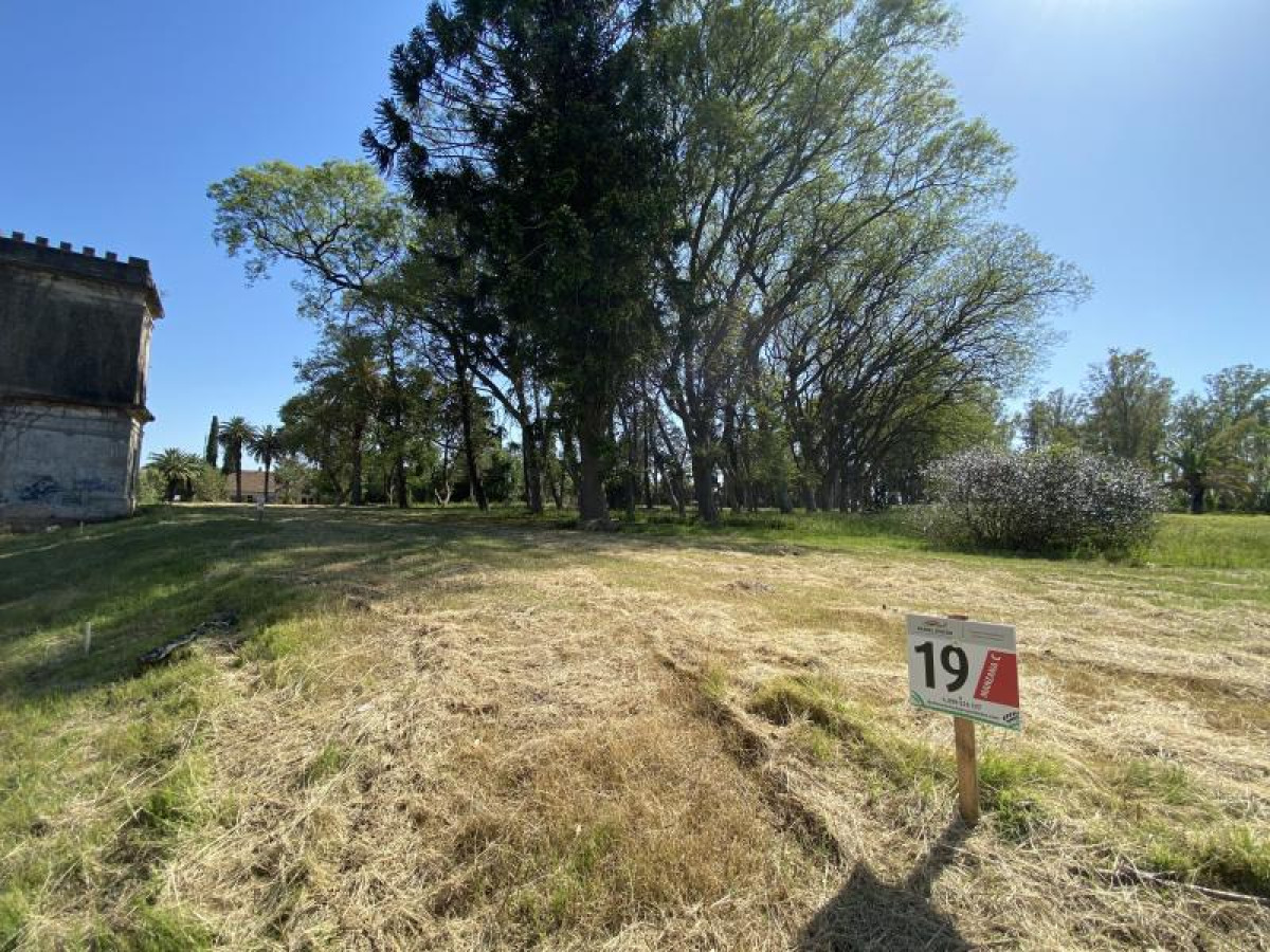 Terreno N   19 en Urbanización 