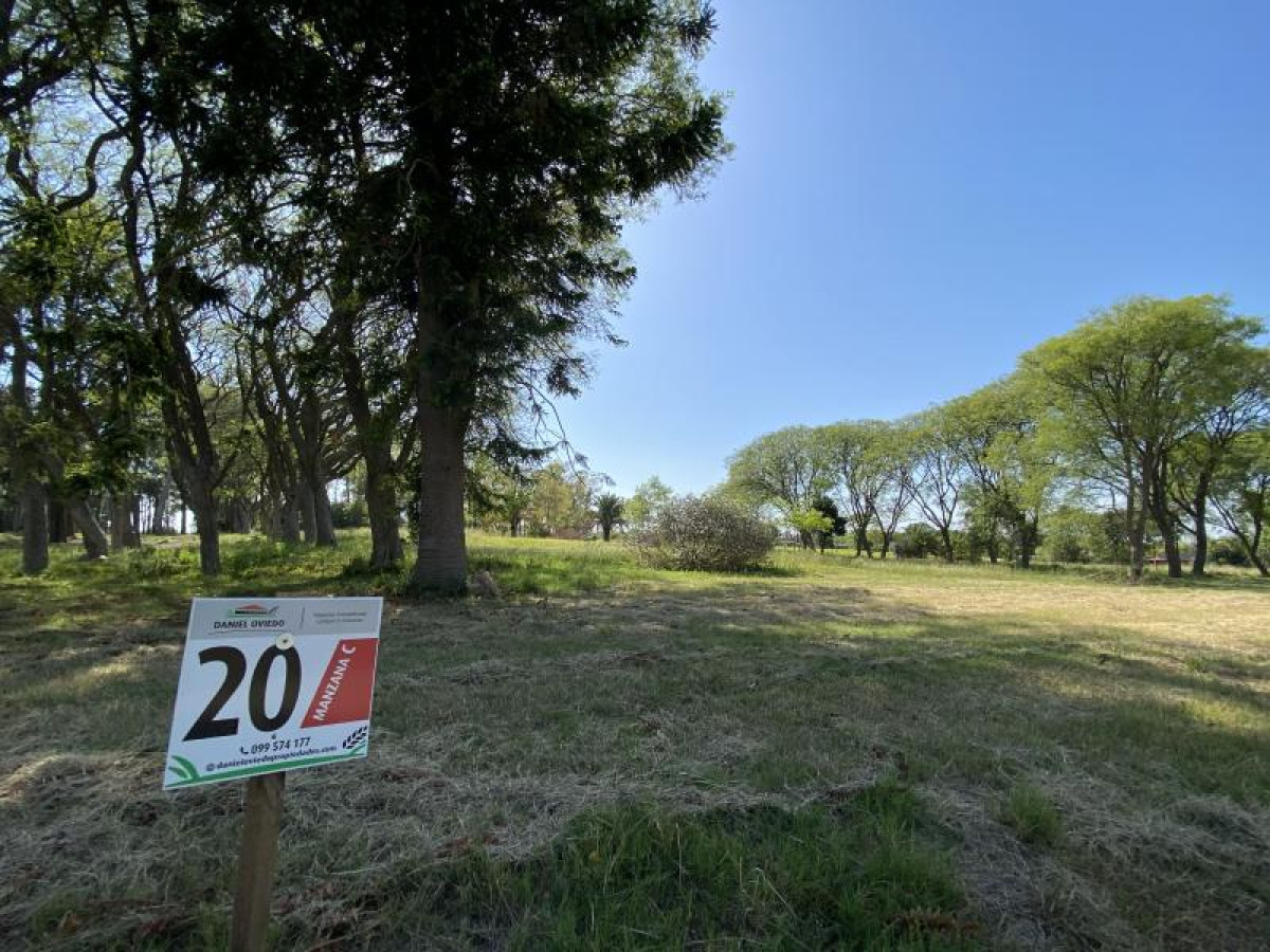 Terreno N   20 en Urbanización Parque Jousten.