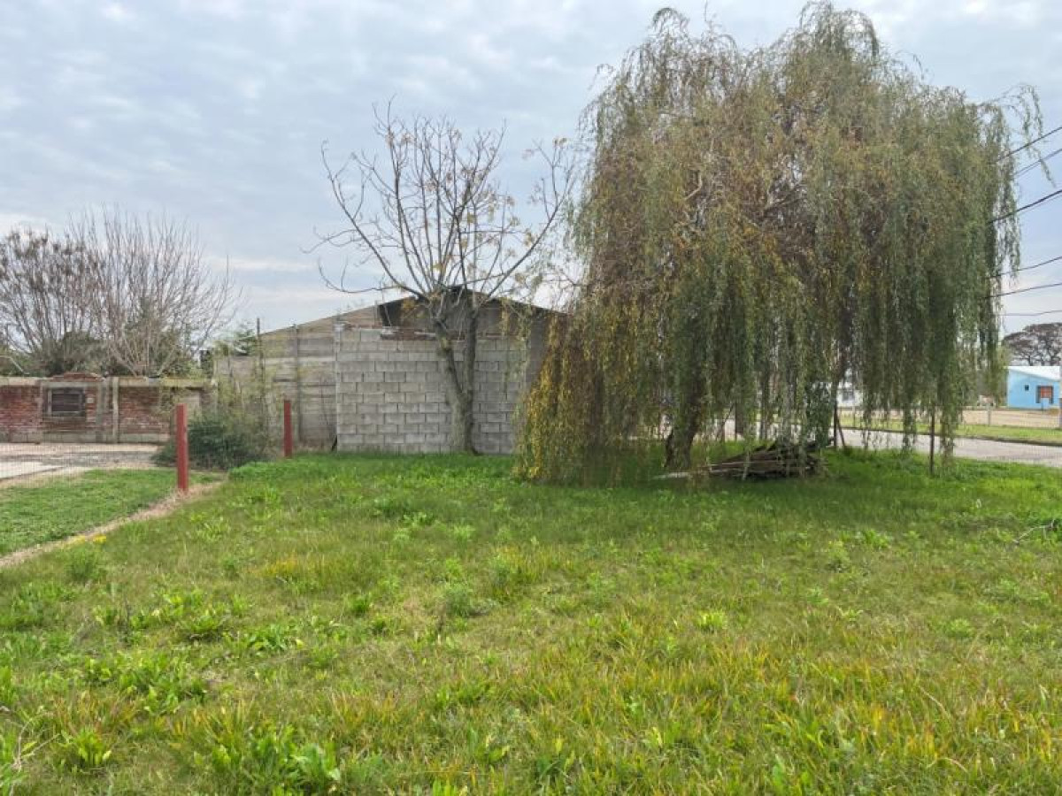 Terreno de 236 m2 en Ecilda Paullier.