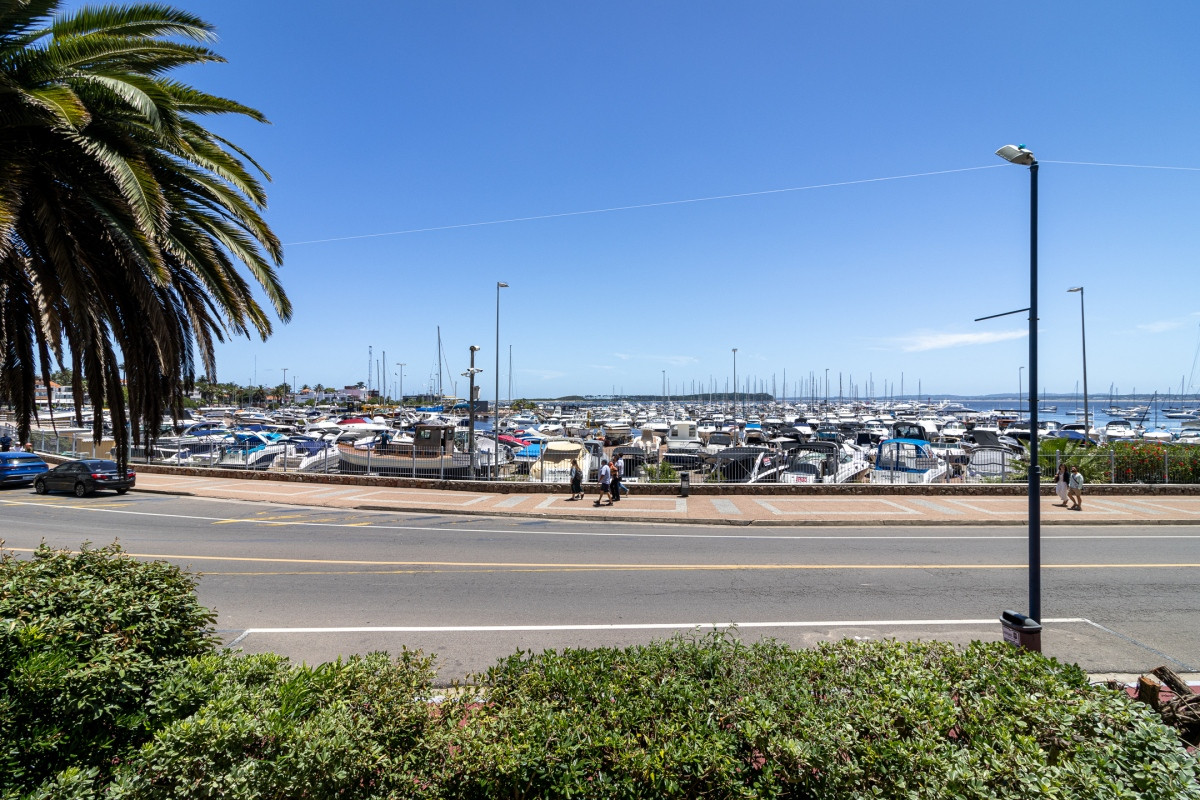 Apartamento en venta y alquiler Peninsula 3 dormitorios