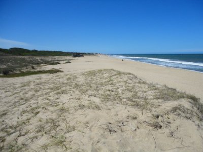 Chacra en venta La Pedrera 