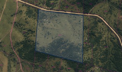 CAMPO EN VENTA CON FRENTE A RUTA 109