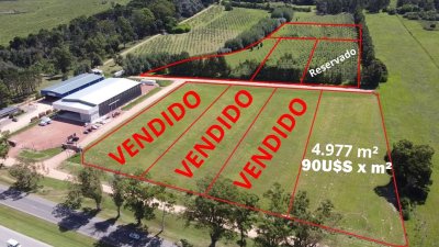 Terreno en venta San Carlos 