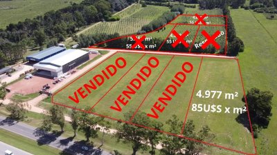 Terreno en venta San Carlos 