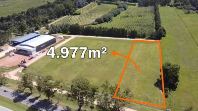Terreno en venta San Carlos 