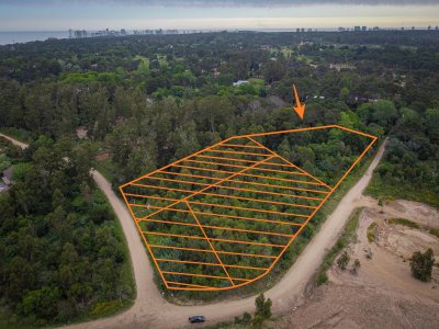 TERRENO EN RINCON DEL INDIO