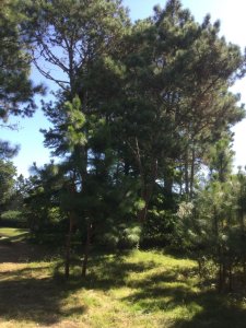 Terreno en venta Golf 