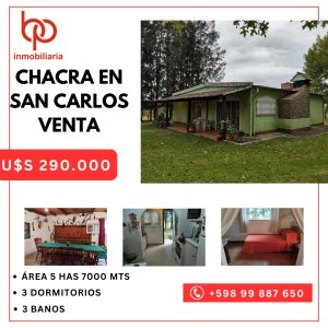 GRAN OPORTUNIDAD
