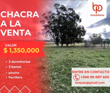 Chacra de 37 has