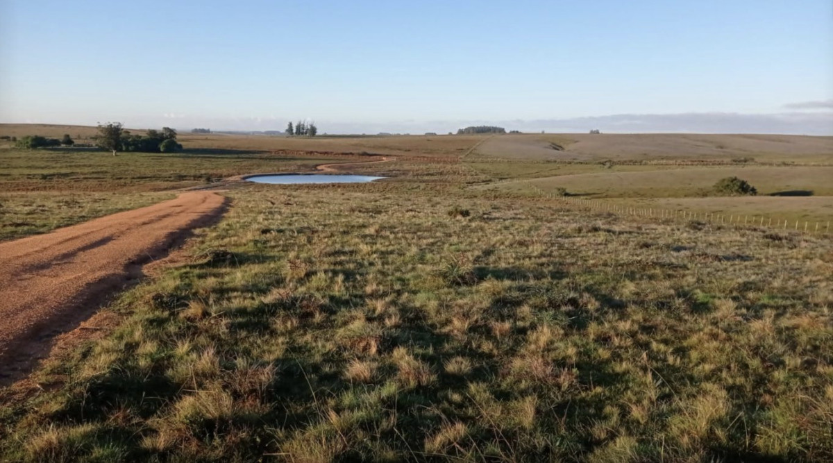 Chacra de 6ha en Garzón