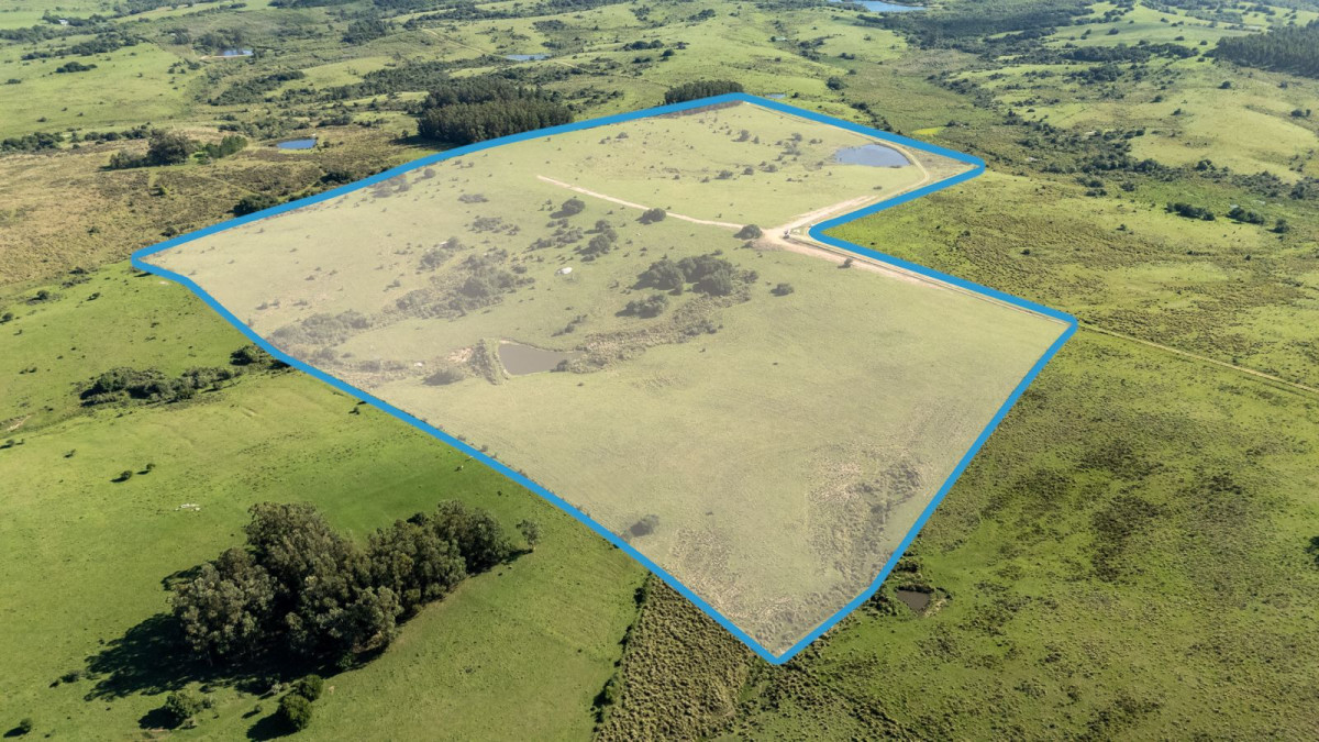 Venta Chacra Pueblo Garzon 21ha