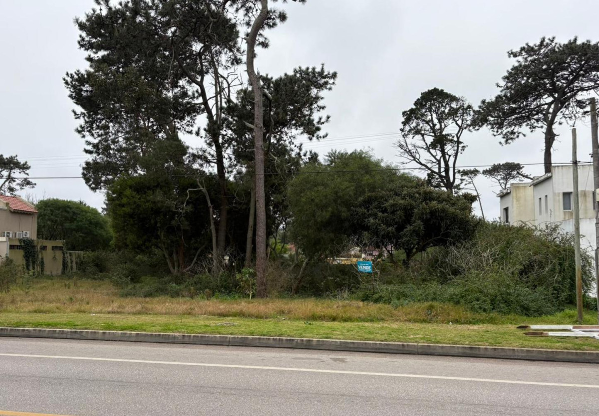 Terreno en Avenida Córdoba de 1360m2 apto para desarrollo