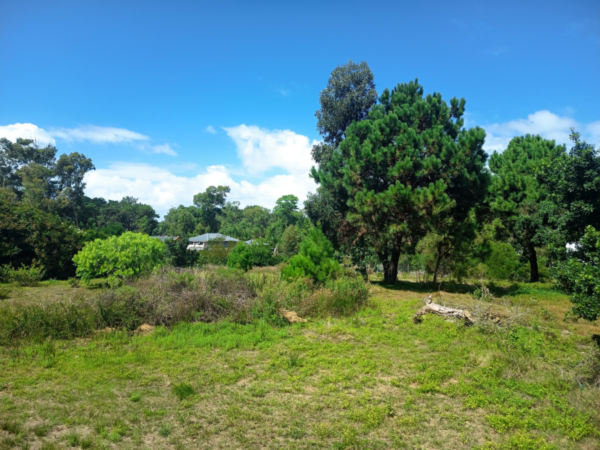 Terreno La Barra (Zona Club de la Barra)