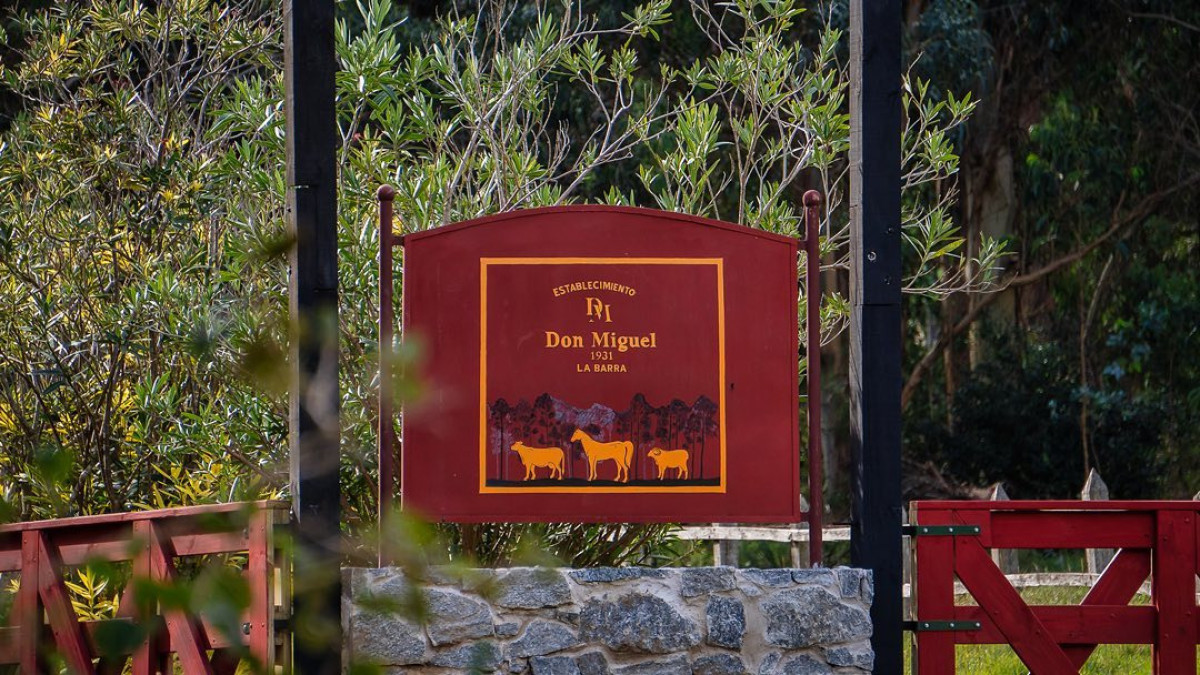 Terreno Don Miguel R8