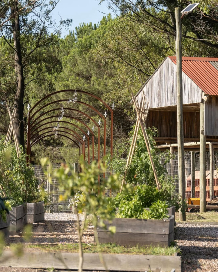 Terreno Don Miguel R8