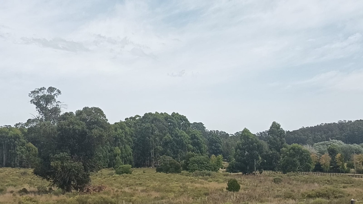 Terreno Lote 19 Puerto Quetzal - Vistas al Bosque