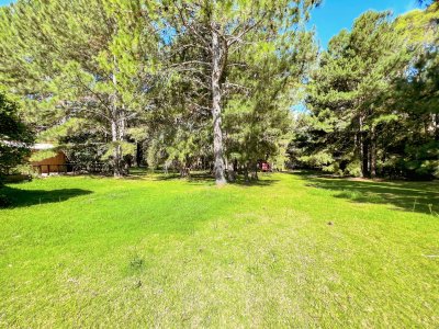 Venta de Local y amplio terreno excelente para negocio