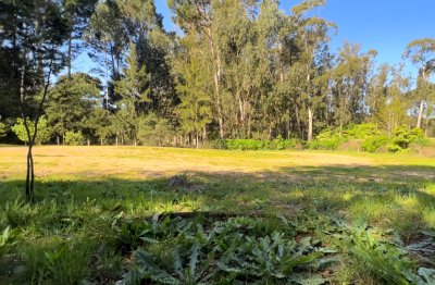 Terreno en venta zona residencial, pinares