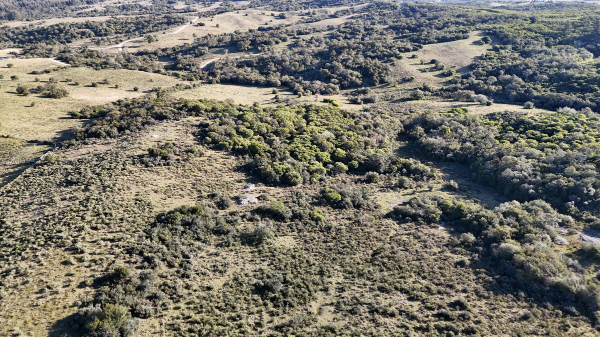 Venta de Chacra en Punta del Este Sierras de Garzón