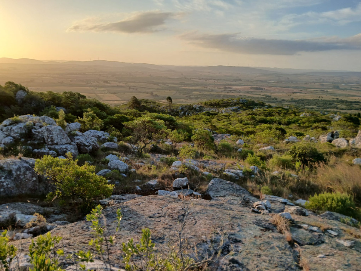 Chacras turísticas en Venta en Punta del Este
