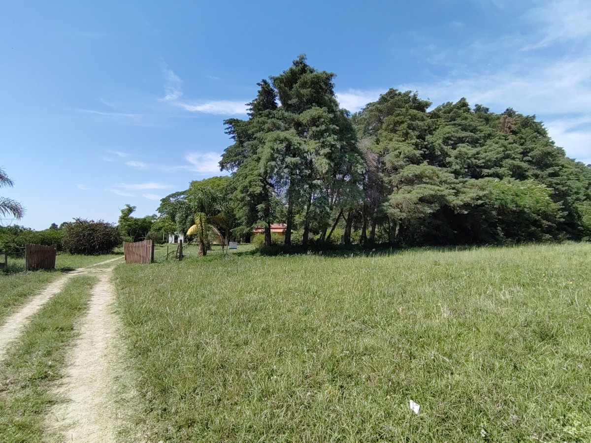 Chacra en Venta en Salto