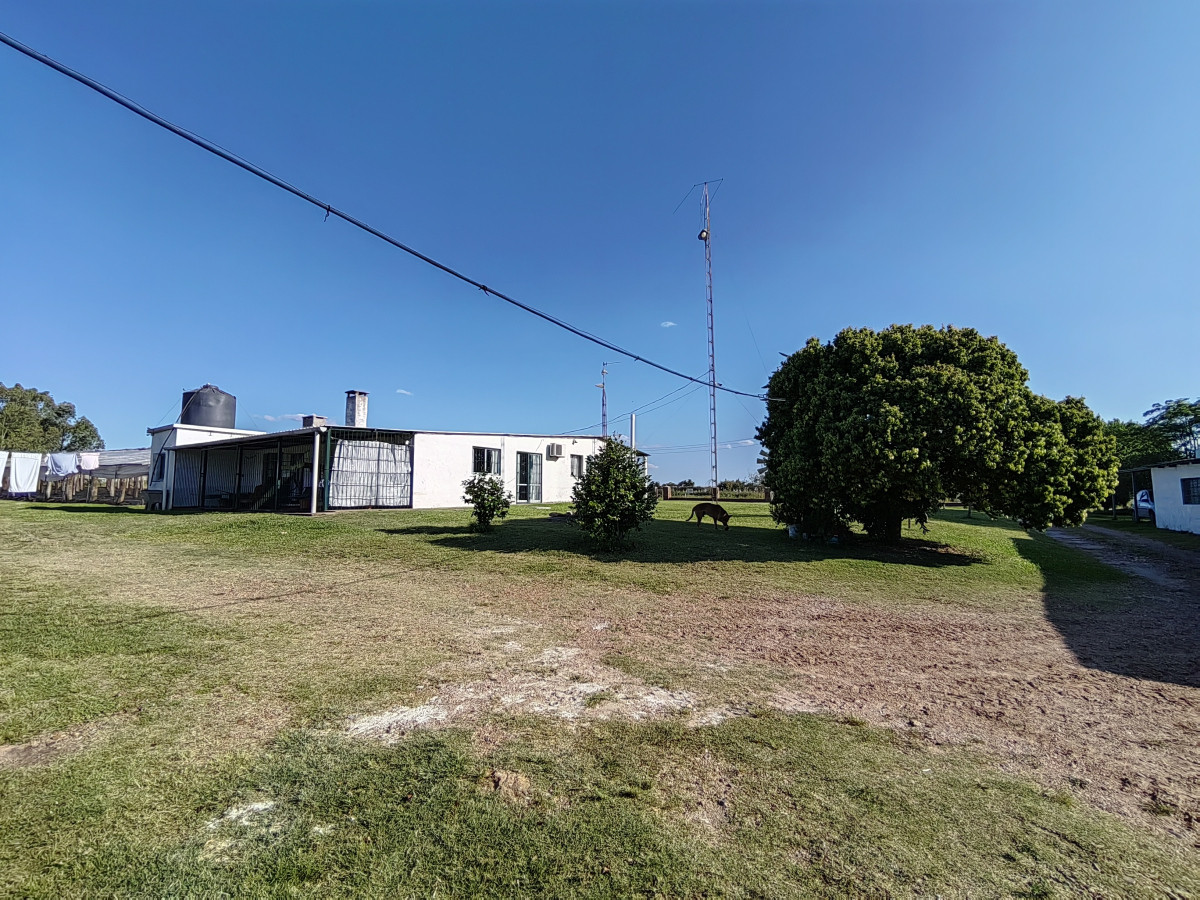 Chacra en Zona Hipódromo: Oportunidad para Comprar una Propiedad Única en Producción