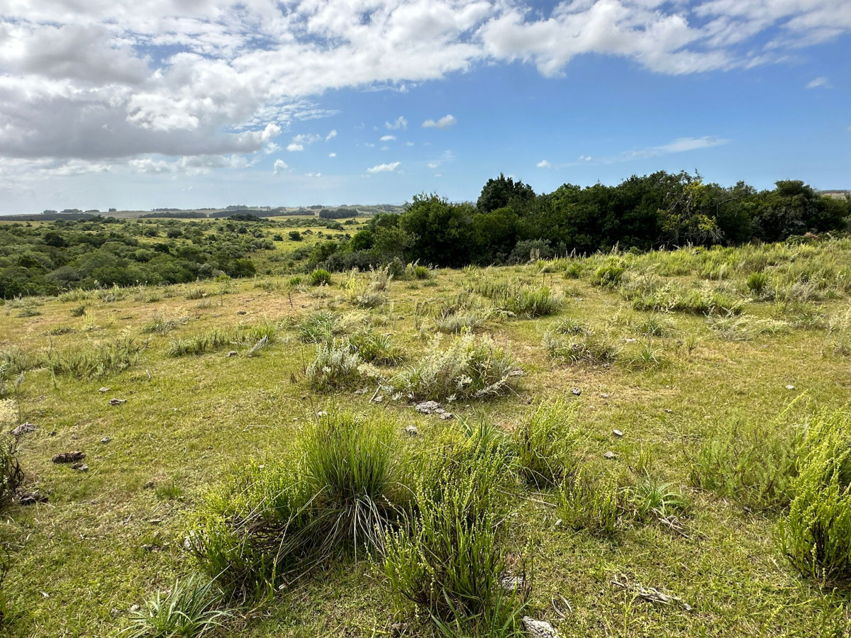 Chacra en venta en Punta del Este; Pueblo Garzón
