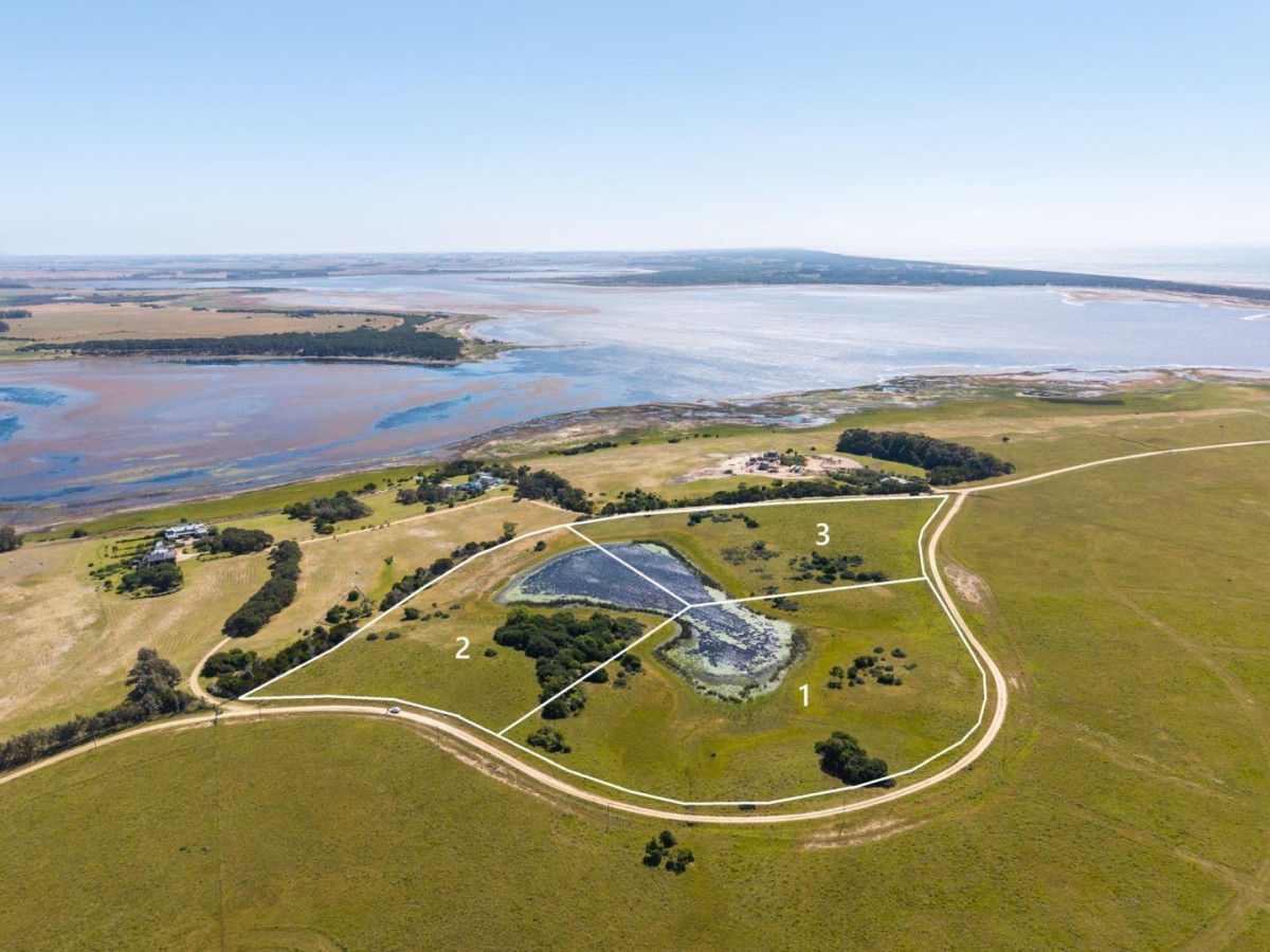 Chacra en venta en José Ignacio PUnta del Este