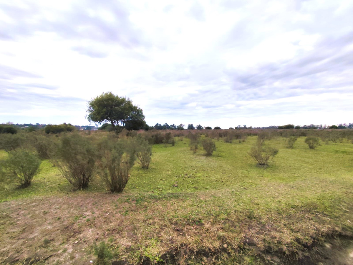 Terreno en venta sobre By Pass de Ruta 3, Salto