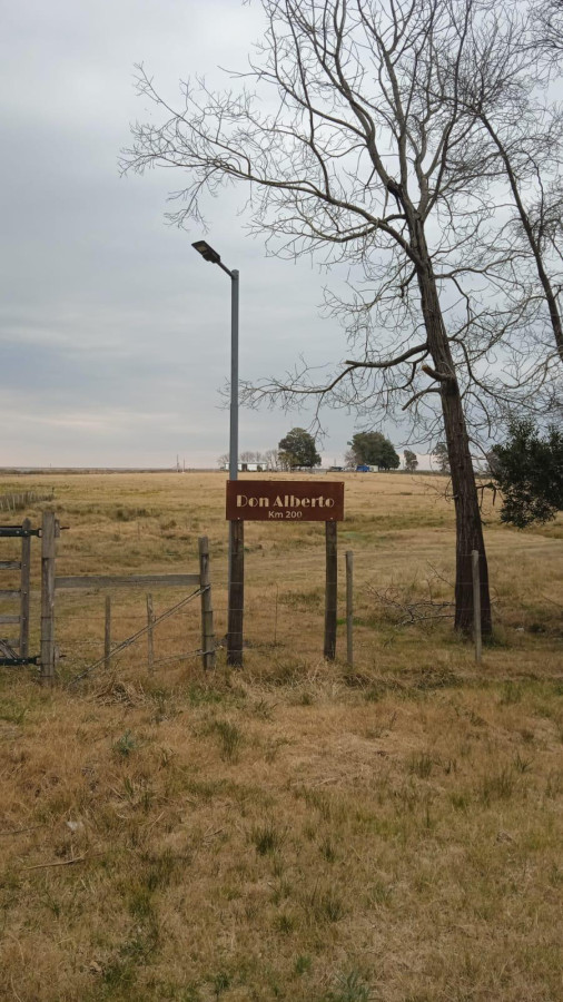 Chacra 10 has en Durazno sobre Ruta 5