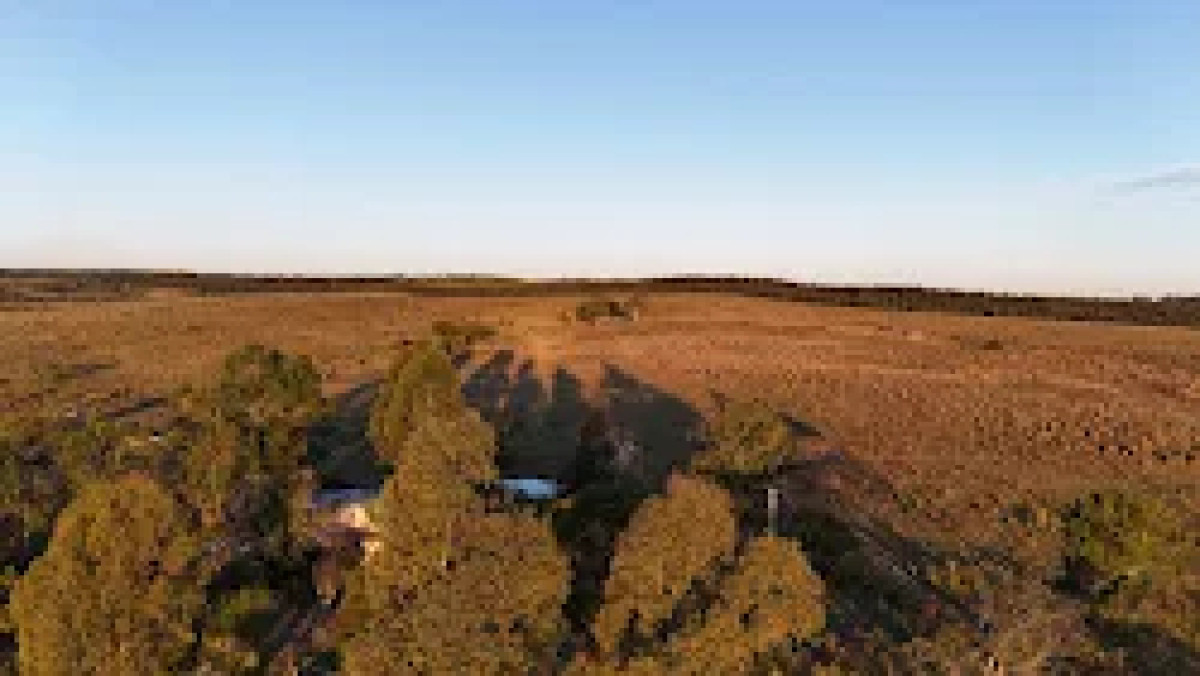 venta de chacra de 16 has con pequeño galpon  en Garzon puntas de Jose Ignacio