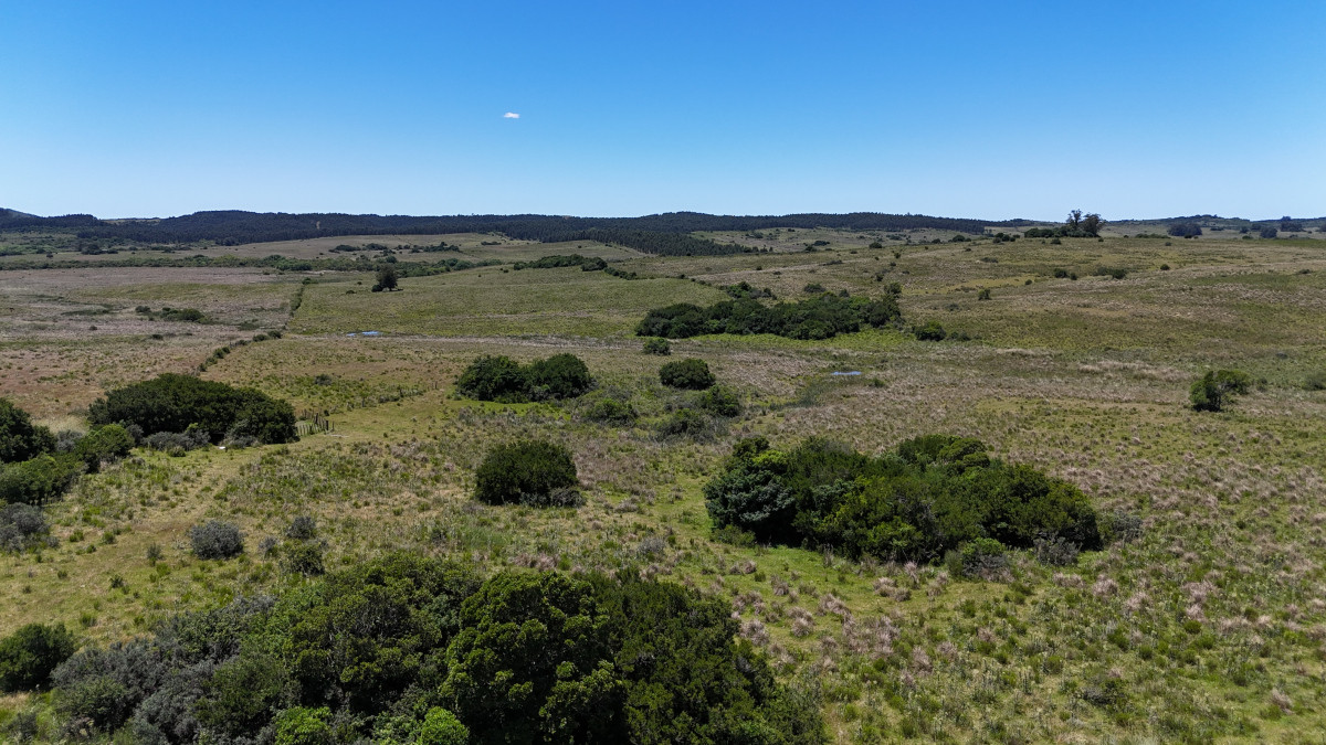 Campo en Venta en Garzón Maldonado Punta del Este