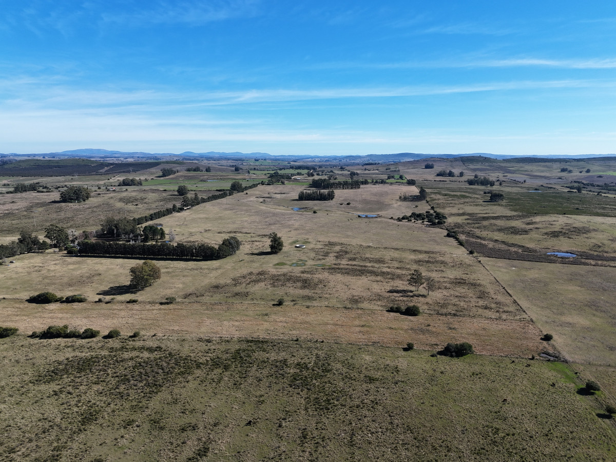 Campo agrícola ganadero en venta en Maldonado