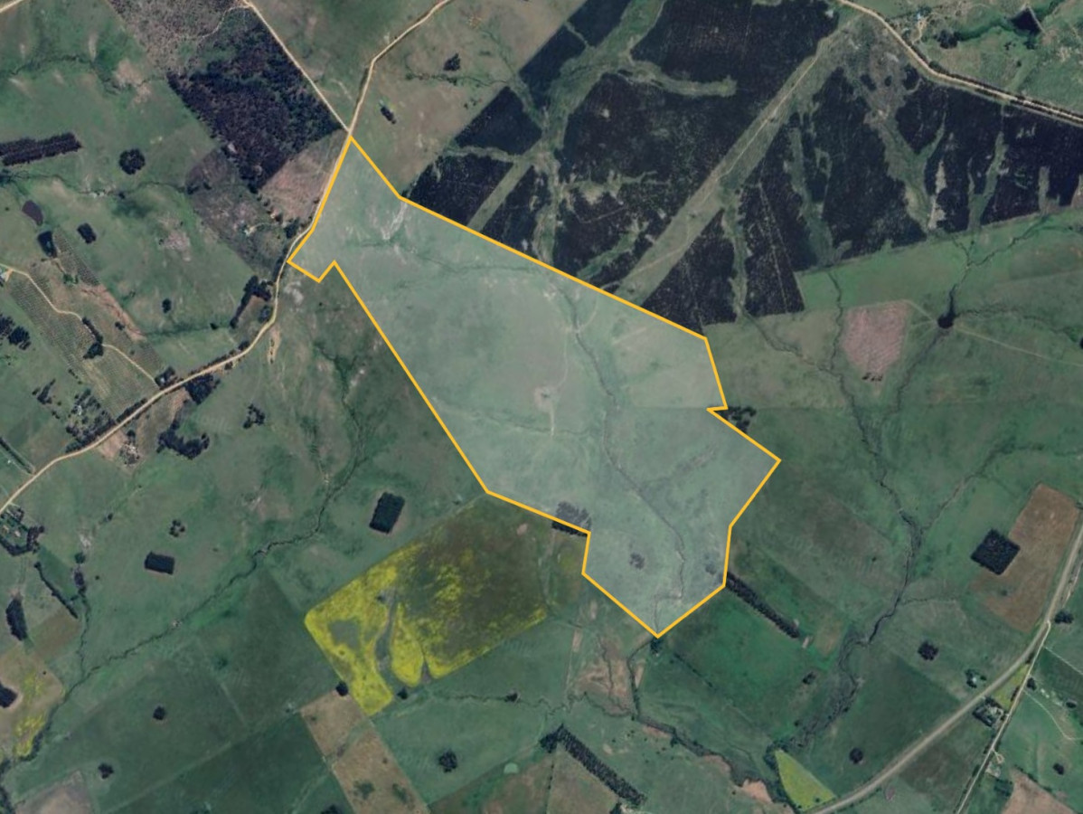 Campo Turístico y Ganadero en venta en Maldonado, Punta del Este