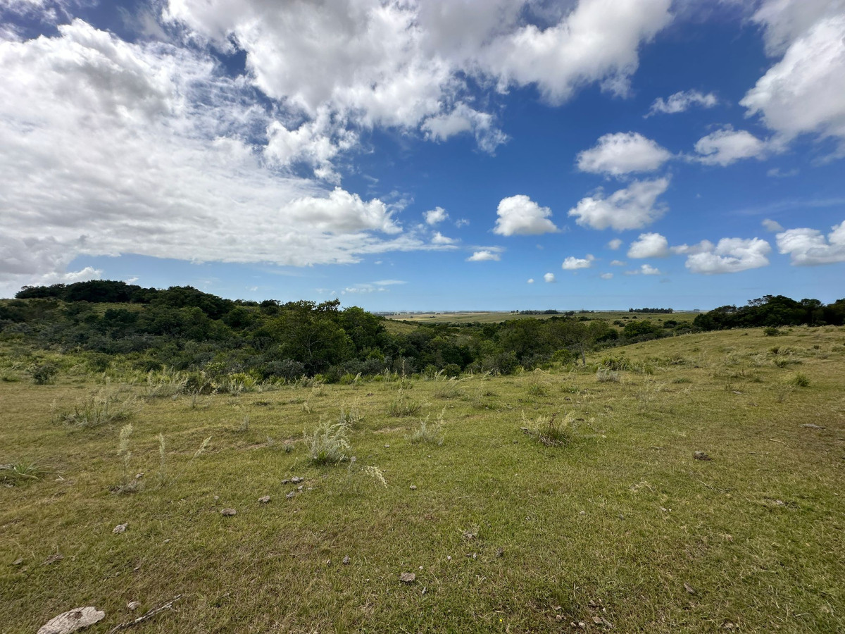 Campo ganadero en Rocha: ¡Inversión exclusiva cerca de Pueblo Garzón!