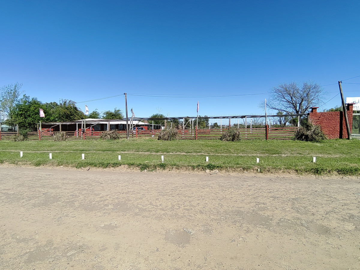 Salón de fiestas y eventos con amplio terreno en Salto
