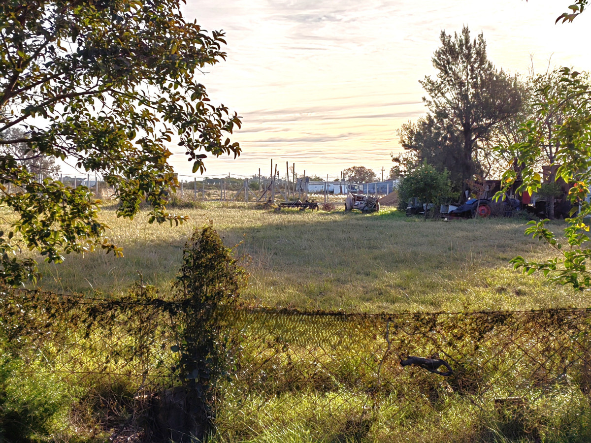 Terreno en venta en Salto