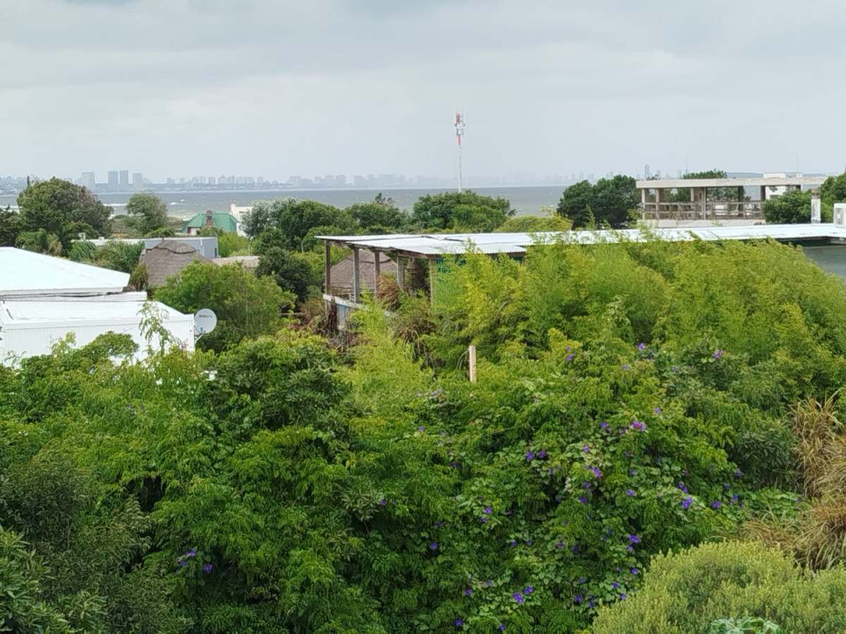 Terreno en Venta en Punta Ballena a 400 Metros del Mar - 1.100 m²