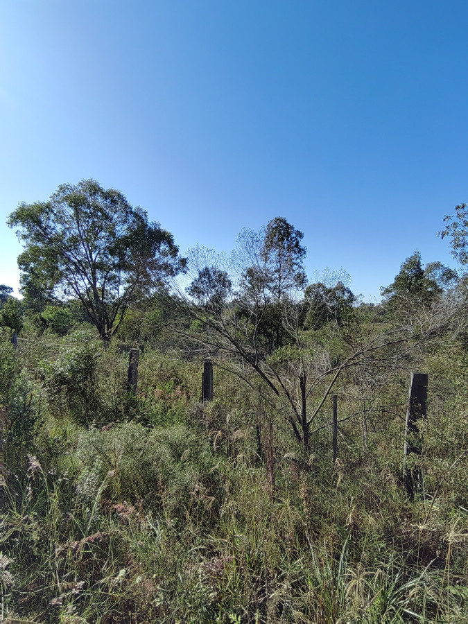 Terreno en venta en Arenitas Blancas, Salto