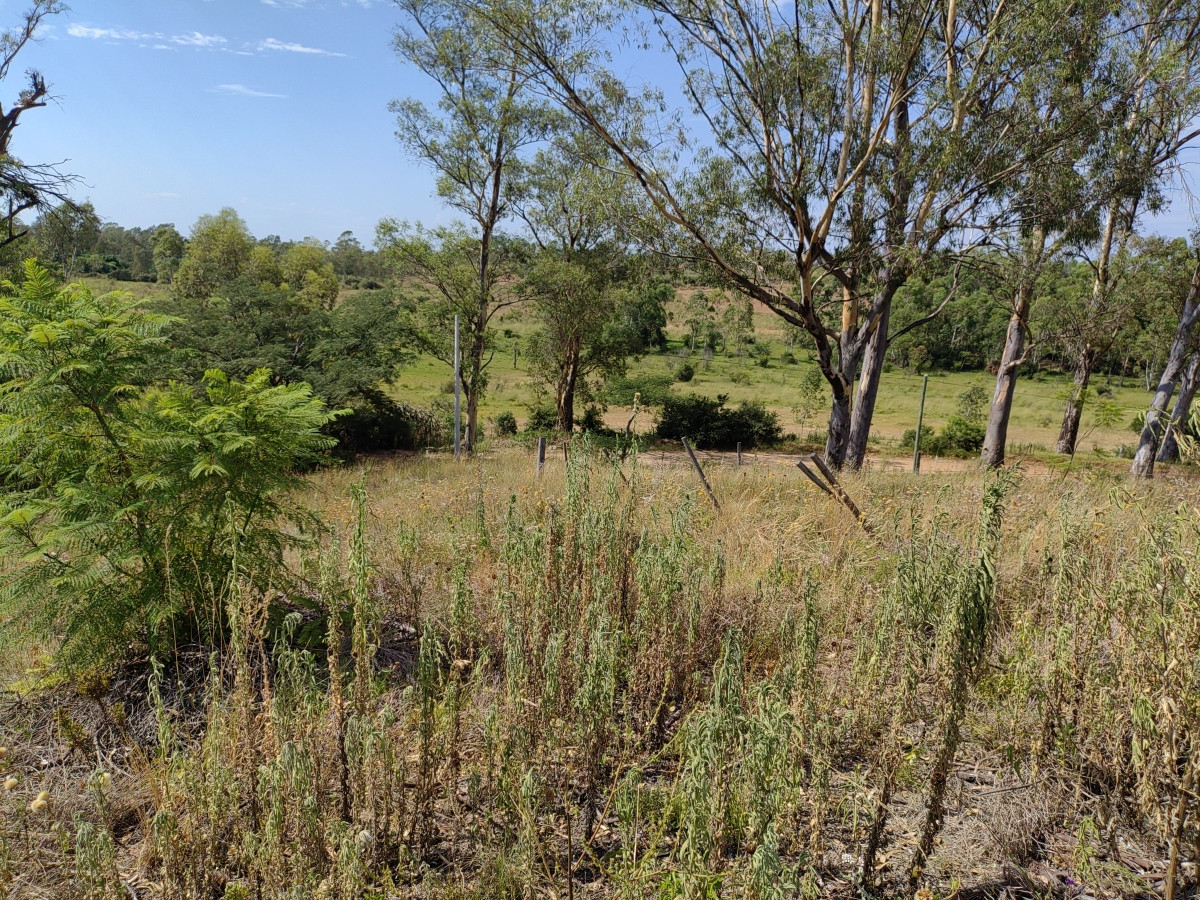 Terreno de 462 m2 - Arenitas Blancas
