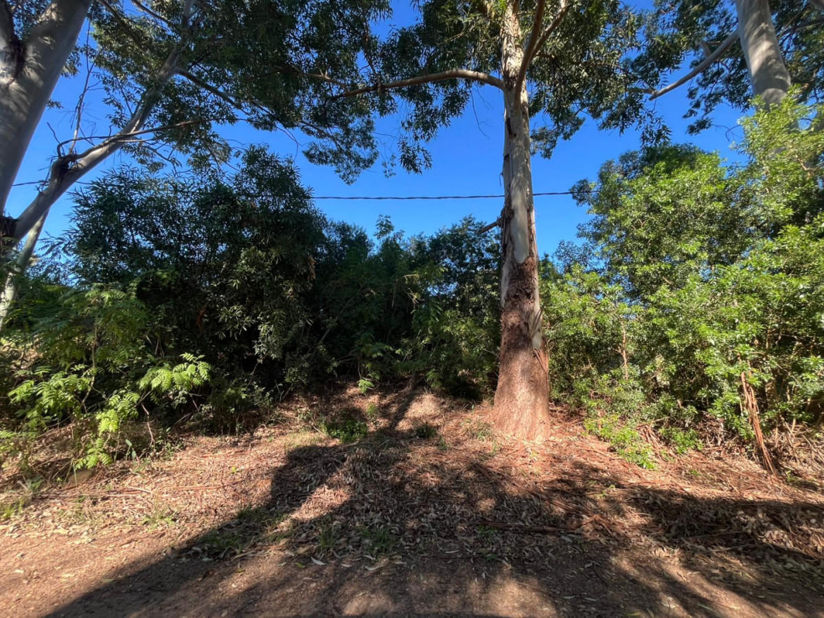 Terreno en Venta en Arenitas Blancas