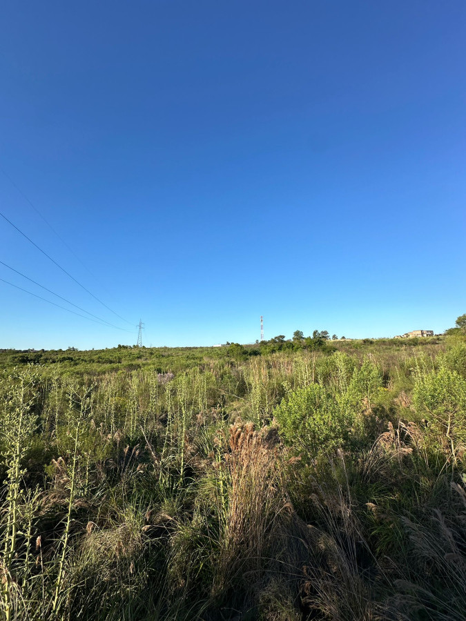 Terreno Estratégico para Emprendimientos Logísticos y de Distribución