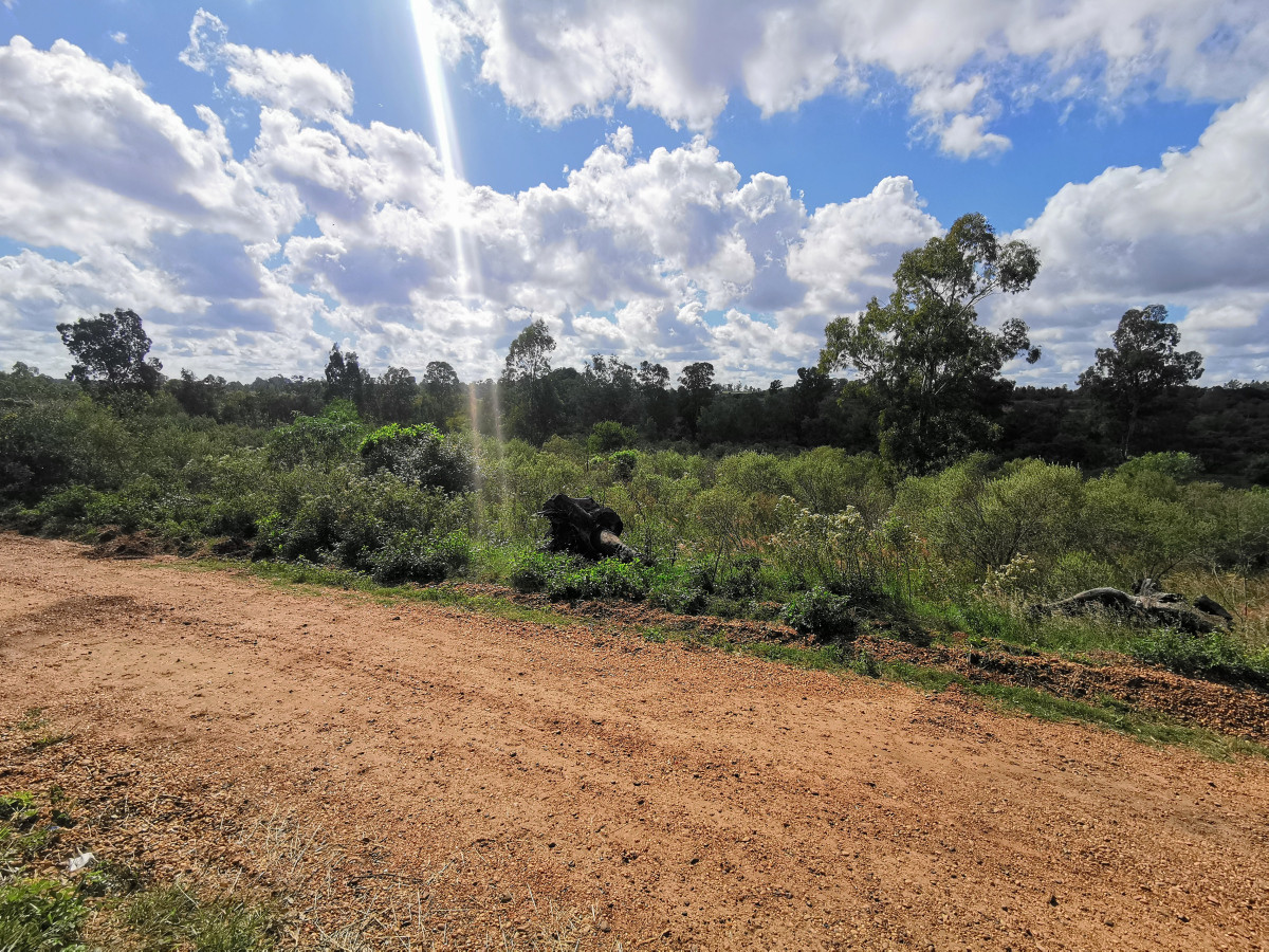 Terrenos en Arenitas Blancas