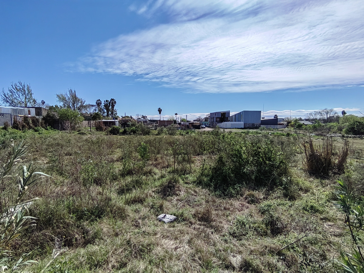 Terreno en venta en Salto