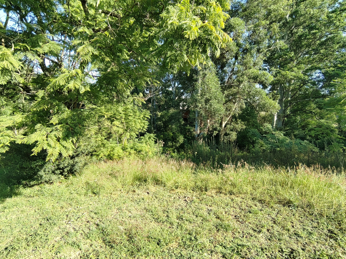 Terreno en venta en Arenitas Blancas, Salto