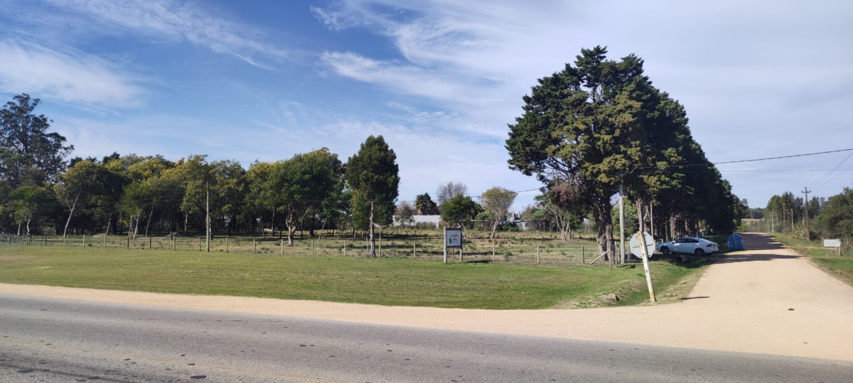 Fraccion de 10.000 m2, San Carlos sobre Ruta