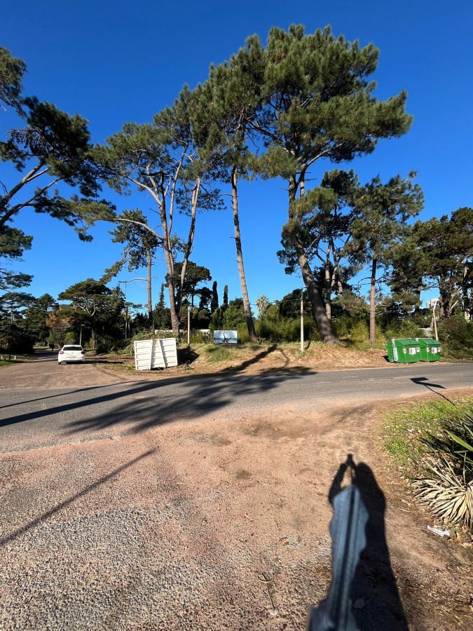 Terreno en excelente zona comercial