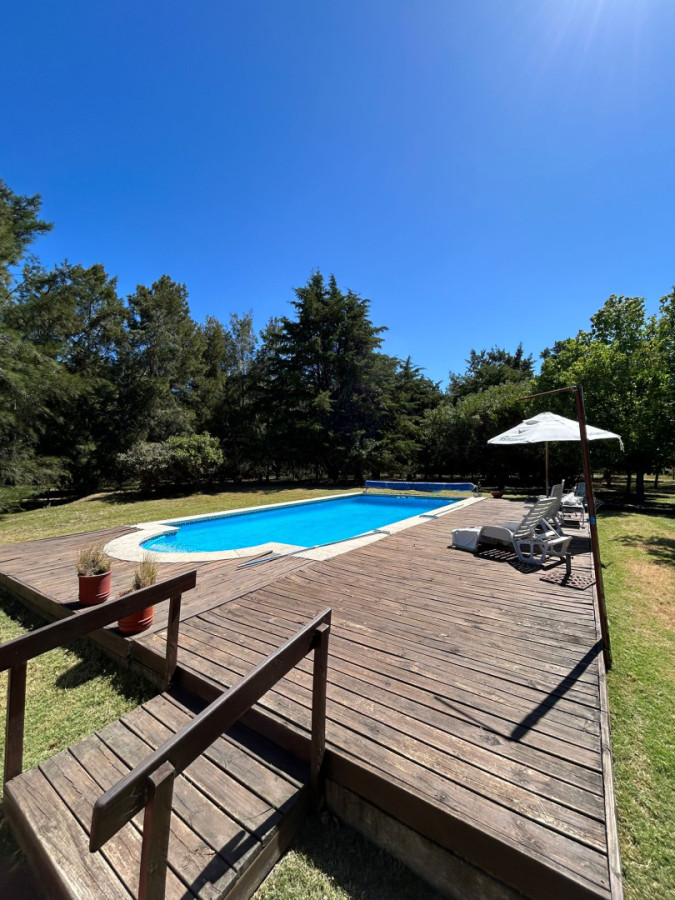 En Venta: Campo de 10 ha con casa, piscina y excelente ubicación sobre Ruta 39