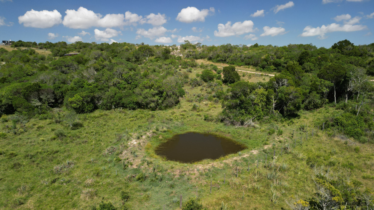 Chacra de 5 hectáreas en Salamanca ¡Oportunidad de inversión!